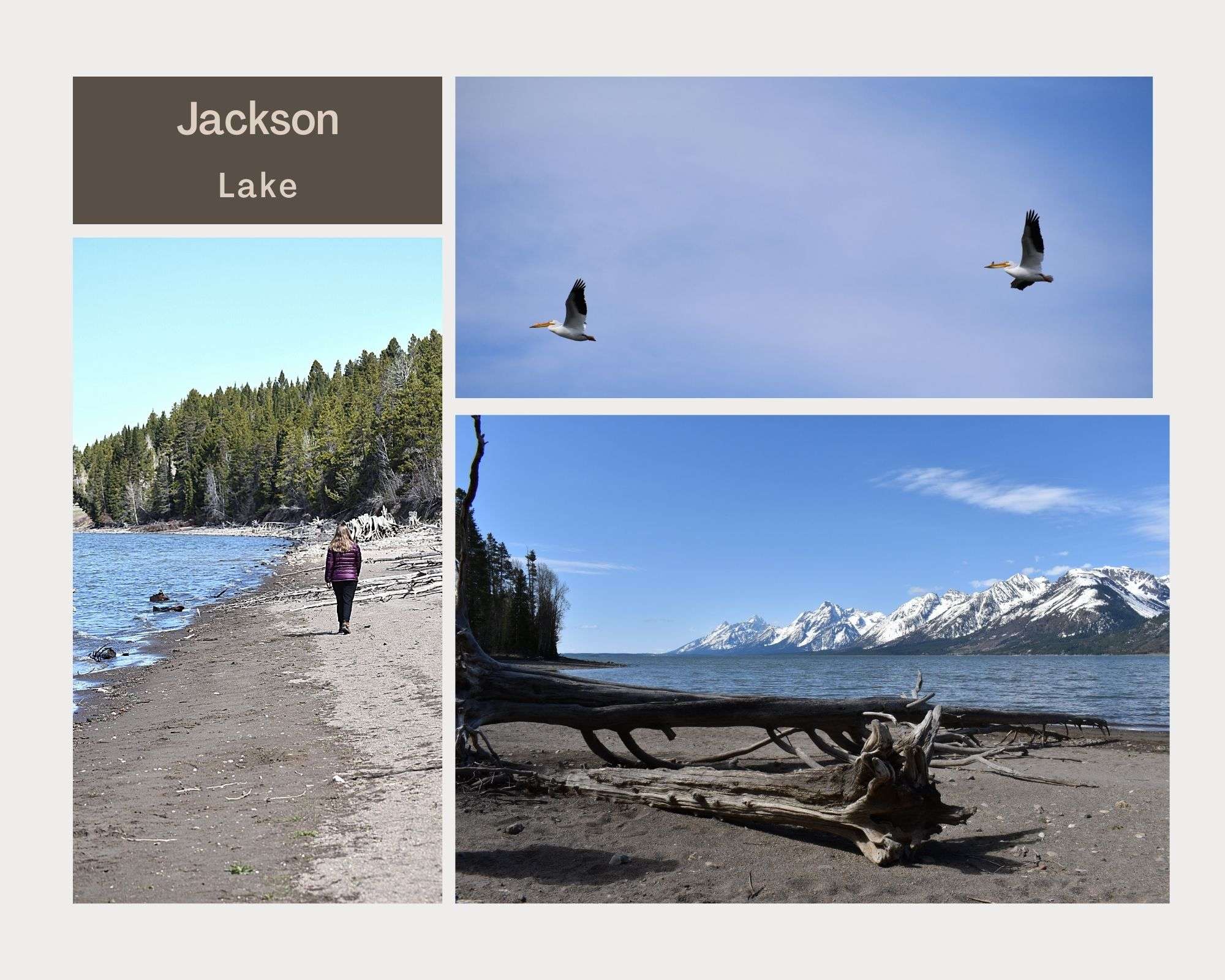 Jackson Lake, Jackson Hole, Grand Teton